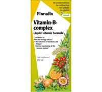 Floradix Vitamin B Complex Energy Support Liquid Formula - 250ml