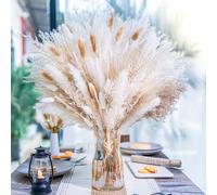floradream 95 PCS Natural Pampas Grass Decor Bouquet | Boho Dried Floral Arrangement Centerpiece Table Decor Wedding Decor Rustic Decor, Natural, white, beige (Fdm-b-01)