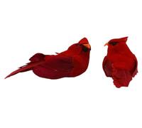 Floral Accessories - 2.5in Cardinal-12 Pieces Rd, Red, 2-1/2 Inch, 12 Pieces