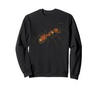 Floral Ant Intricate Insect Nature Art Botanical Ant Garden Sweatshirt
