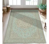 Floral Area Rug, Traditional Classic Mandala Geometric Light Blue Low Pile Edge Binding Doormat Throw Rug Rectangle Entryway Bathroom Laundry Room Decor 3' X 5'