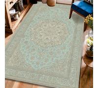 Floral Area Rug, Traditional Classic Mandala Geometric Light Blue Low Pile Indoor Rectangle Carpet Non Shedding Rugs for Living Room Bedroom Under Table Dining Decor 4' X 6'