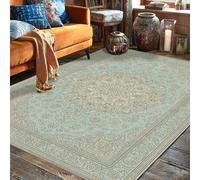 Floral Area Rug, Traditional Classic Mandala Geometric Light Blue Low Pile Indoor Rectangle Carpet Non Shedding Rugs for Living Room Bedroom College Dorm Kitchen Decor 5' X 7'