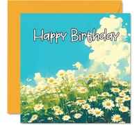 Floral Birthday Cards For Women Her - Daisy Field - Happy Birthday Card for Mum Sister Daughter Auntie Cousin Nanny Grandma Friend 145mm Daisies Flowers Greeting Cards