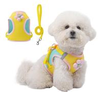 Floral Dog Harness Leash Set No Pull Puppy Spring Scent Inspired Flower Vest Harness Breathable Mesh No Choke Metal Buckles (Yellow, Small)