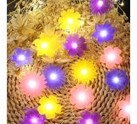 Floral Flower Fairy Lights, 20 LED 6.5ft, USB Plug in or Battery Powered for Indoor Room Party Decoration Gifts for Girl Women Mirror Bedroom Decor