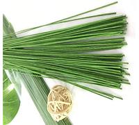 Floral Flower Wire Stems, Flower Rod Wire,Wrapped (200 Count) 18Gauge,14 Inch, 1.2mm in Diameter,Green