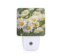 Floral Flowers Daisies Printed Led Night Light Plug in Wall with Dusk to Dawn Sensor Plug in Night Light for Hallway,Bathroom,Bedroom,Kitchen,Stairs,Acrylic Energy Efficient Night Lamp