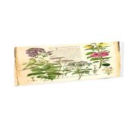 floral in the old book -Rectangular Acrylic Table Signs - Clear Custom Nameplates For Office Desk, Restaurant, Events - Smooth Edge Professional Signage.