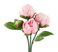 Floral Kingdom 14" Peony Artificial Flowers Real Touch Latex Blush Pink for Home Office Centerpieces, Wedding Bouquets (6 Flowers, 2 Buds) Floral Arrangements