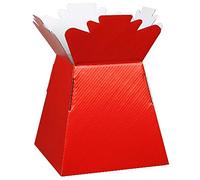 floral natalie 5 x Red Florist Aqua Boxes - Living Vases - Hand Tie Boxes by Apac