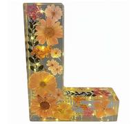 Floral Night Light,Personalized Floral Resin LED Letter Night Light,A-Z Initial Table Lamp,DIY FloralLetter Name NightLight,Handcrafted Real Dried Flowers Home Decor Gift for Birthday,Mother’s Day