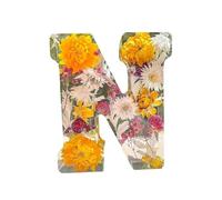 Floral Resin Night Light,2024 New Resin Letters with LED Light Floral Resin Letter Table Lamp,Light Up Letters Sign for Night Light,Floral Resin Letters Light,Birthday Gift Her,Gift for Mom, Wife (N)