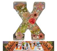 Floral Resin Night Light, Floral 26 Letters Resin Night Light, Handmade Floral Night Light, for Mother Wife, Personalized Name Creative Letter Lamp Birthday Party Decor (X)