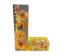 Floral Resin Night Light, Floral Resin Night Light Letter, Pressed Flower Resin Letters with LED Light, for Mother, Wife, for Her, Mother's Day Gifts