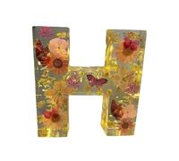 Floral Resin Night Light, Pressed Flower Resin Letters with LED Light, Light Up Alphabet Sign,Resin Letter Table Lamp Birthday Gift for Her, Mother, Wife, (H)