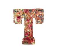 Floral Resin Night Light, Pressed Flower Resin Letters with LED Light, Light Up Alphabet Sign,Resin Letter Table Lamp Birthday Gift for Her, Mother, Wife, (T)