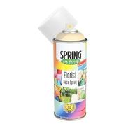 Floral Spray Colour 400ml - Permanent Flower & Foliage Spray Paint for Fresh, Dried & Artificial Flowers - Fast Drying, Strong Adhesion - Wide Range of Shades (Champagne)