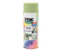 Floral Spray Colour 400ml - Permanent Flower & Foliage Spray Paint for Fresh, Dried & Artificial Flowers - Fast Drying, Strong Adhesion - Wide Range of Shades (Lemon Lime)