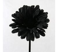 floral supplies Artificial Single Stem Gerbera with Big Bloom - very dramatic - home garden (Black, 4 Pack)
