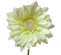 floral supplies Artificial Single Stem Gerbera with Big Bloom - very dramatic - home garden (Ivory, 4 Pack)