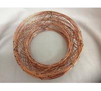 floral supplies Raised wire wreath round rings holly mossing Christmas frame - (10 Pack, 10 Inch)