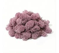 floral supplies Stabilised Reindeer Moss - Preserved Lichen for Model Scenery, Railway Landscapes, Terrariums, Floristry & Art Crafts - Soft Texture & Maintenance Free (Lavender, 100g)