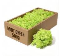 floral supplies Stabilised Reindeer Moss - Preserved Lichen for Model Scenery, Railway Landscapes, Terrariums, Floristry & Art Crafts - Soft Texture & Maintenance Free (Mint Green, 100g)