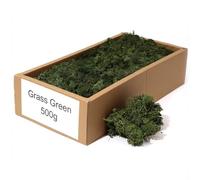 floral supplies Stabilised Reindeer Moss - Preserved Lichen for Model Scenery, Railway Landscapes, Terrariums, Floristry & Art Crafts - Soft Texture & Maintenance Free (Grass Green, 100g)