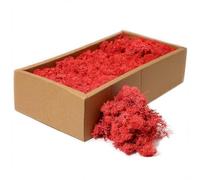 floral supplies Stabilised Reindeer Moss - Preserved Lichen for Model Scenery, Railway Landscapes, Terrariums, Floristry & Art Crafts - Soft Texture & Maintenance Free (Fire Red, 100g)