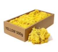 floral supplies Stabilised Reindeer Moss - Preserved Lichen for Model Scenery, Railway Landscapes, Terrariums, Floristry & Art Crafts - Soft Texture & Maintenance Free (Yellow, 100g)