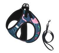 Floral Swan Print Pet Leash Vest,Breathable Mesh Pet Harness, Reflective For Small Medium Dogs Safe Easy Walking