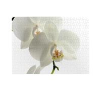 Floral White Flowers Orchid Elegant Modern Trendy,500 Pieces Puzzles for Adults-Wooden Jigsaw Puzzle for Adults Elderly