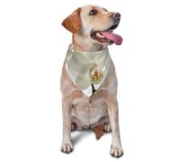 Floral White Flowers Orchid Elegant Modern TrendyDog Bandanas Cat Puppy Scarfs Washable Pet Handkerchief