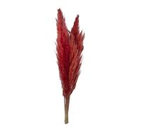 Floralcraft 10 Pcs Natural Dried Pampas Grass - Dyed Red, Dry Reeds Plumes Large Flora Boho Décor for Wedding Party Home Kitchen Bedroom Vase Filler Table Decoration
