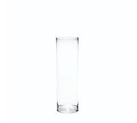 Floralcraft® 15cm x 50cm Clear Glass Cylinder Vase, Decorative Tall Flower Vase Plant Bud Container for Home Office Wedding Table Centerpiece (Set of 2)
