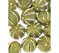 Floralcraft 15Pcs Dried Green Whole Oranges - Fresh Scented Dried Fruit Whole Oranges For Christmas Wreath Garlands, Pot Pourri, Florist Décor