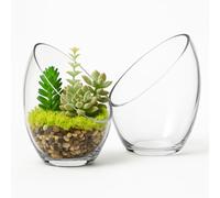 Floralcraft® 16.5 cm Slanted Glass Terrarium Vase | Set of 2 | Modern Angled Display Bowl for Succulents, Moss, Air Plants or Candles | Clear Open-Cut Glass Planter