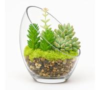 Floralcraft® 16.5 cm Slanted Glass Terrarium Vase | Single | Modern Angled Display Bowl for Succulents, Moss, Air Plants or Candles | Clear Open-Cut Glass Planter