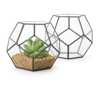Floralcraft® 18 cm Black Geometric Glass Terrarium | Set of 2 | Modern Indoor Planter & Candle Holder | Dodecahedron Tabletop Display for Succulents, Moss & Air Plants