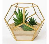 Floralcraft 18cm Pentagon Glass Geometric Terrarium - Gold, Indoor Outdoor Tabletop Decor Ball Terrarium Flower Display Planter Pot for Succulent Fern Moss Cacti, (Set of 5)