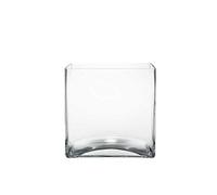 Floralcraft® 18cm Glass Cube Vase Flowers Vase Decorative Centerpiece for Floral Arrangements, Home Decor Wedding Party, Planter Terrarium Candle Holder (Set of 2)
