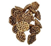 Floralcraft 20Pcs Dried Lotus Heads, Medium Size (6-8cm) - Gold, Dried Flowers for Craft Projects, Christmas Wreath, Garland, Florist Decoration
