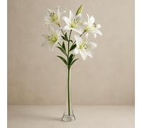 Floralcraft® 40cm Clear Glass Lily Vase - Compact Tall Vase for Centrepiece for Weddings, Events, Hotels & Displays