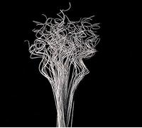 Floralcraft 50 Stems Bunch Curly Ting Ting - Silver and Glitter Sparkle