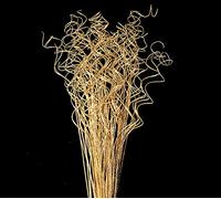 Floralcraft 50 Stems Curly Ting - Gold/Glitter (3 bunches), Christmas Decorations Branch Vase Filler Xmas Tree Garland Wreath Decoration, Wedding, Holiday Home Décor