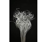 Floralcraft 50 Stems Curly Ting - Silver (3 bunches), Christmas Decorations Branch Vase Filler Xmas Tree Garland Wreath Decoration, Wedding, Holiday Home Décor