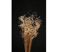 Floralcraft 50 Stems Curly Ting Ting - Gold (3 bunches), Christmas Decorations Ting Ting Branch Vase Filler Xmas Tree Garland Wreath Decoration, Wedding, Holiday Home Décor