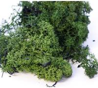 Floralcraft 500g Natural Preserved Finland Moss - Dark Green Florist Moss for Wreath Making, Floral Arrangements, Terrariums, Crafts & Decorative Plant Displays