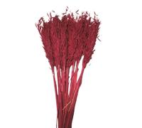 Floralcraft 80cm Dried Red Corn Bunch - Natural Dried Flowers, Oats Stem Bundle for Home Décor, Weddings & Floral Arrangements (200g)